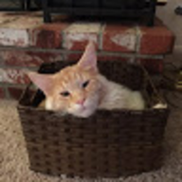 Meet your Posher, Kevin - Picture 1 of 1